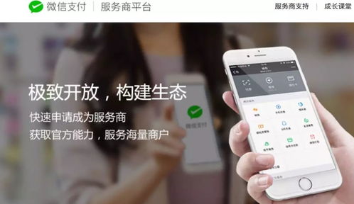 江蘇中理網(wǎng)絡(luò)科技 服務(wù)商定位、準(zhǔn)入路徑與網(wǎng)絡(luò)技術(shù)服務(wù)解析